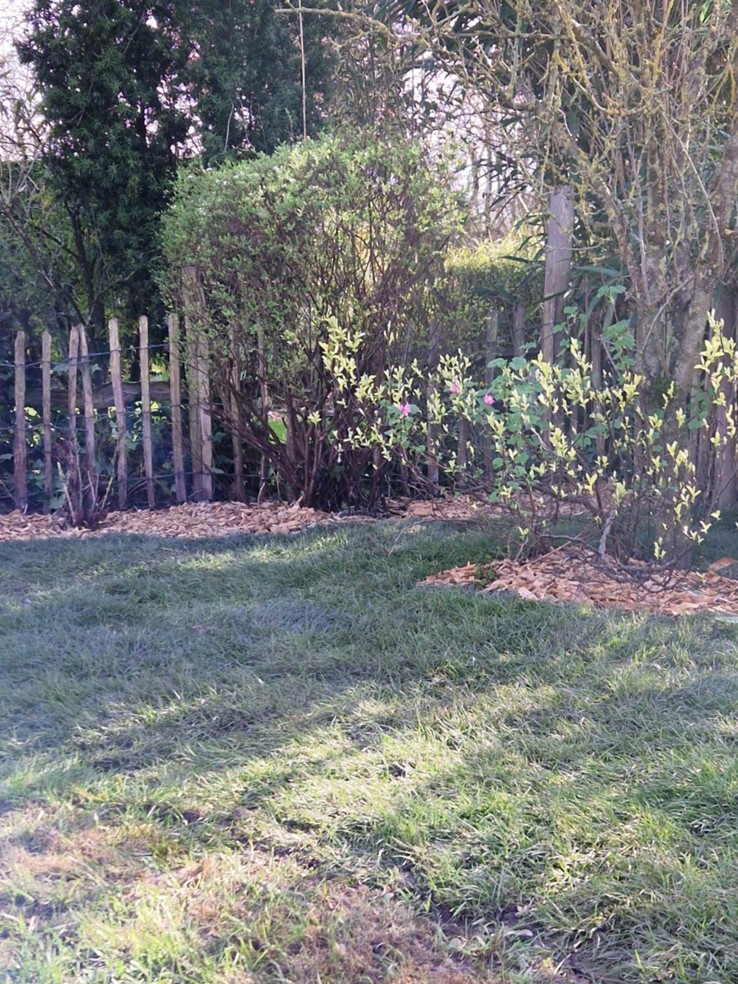 Kustverhuur, Groede, Paarlhof 17 Luaran gambar